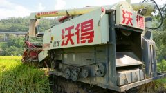 西林：抢抓农时收割早稻 护航夏粮颗粒归